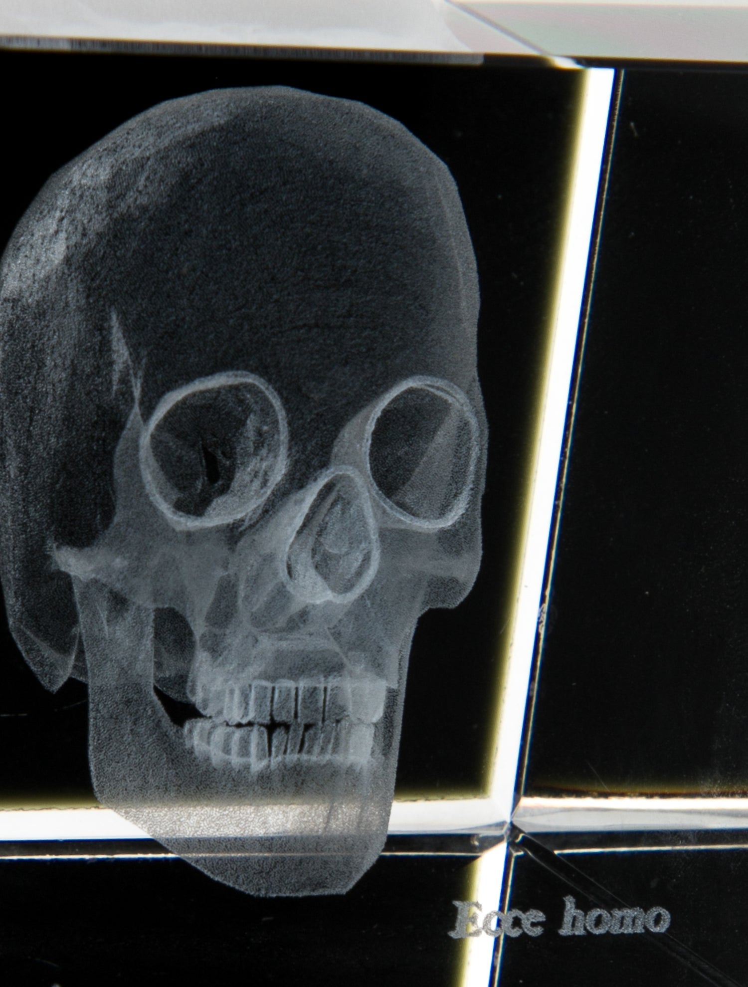 Nicole Sassaman 3D Skull Paperweight